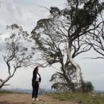 yrtleford - Avventura con il 4x4 sul mt. buffalo national park.